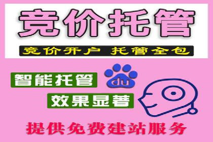 某某SEM团队成功案例：广告投放策略揭秘